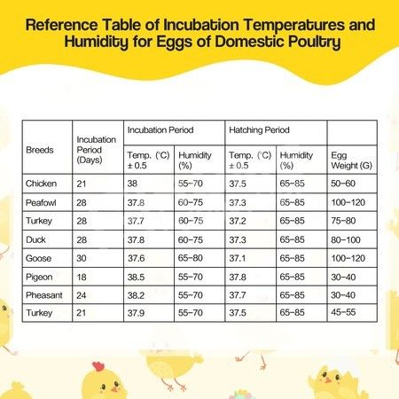 Chicken egg incubator temperature celsius